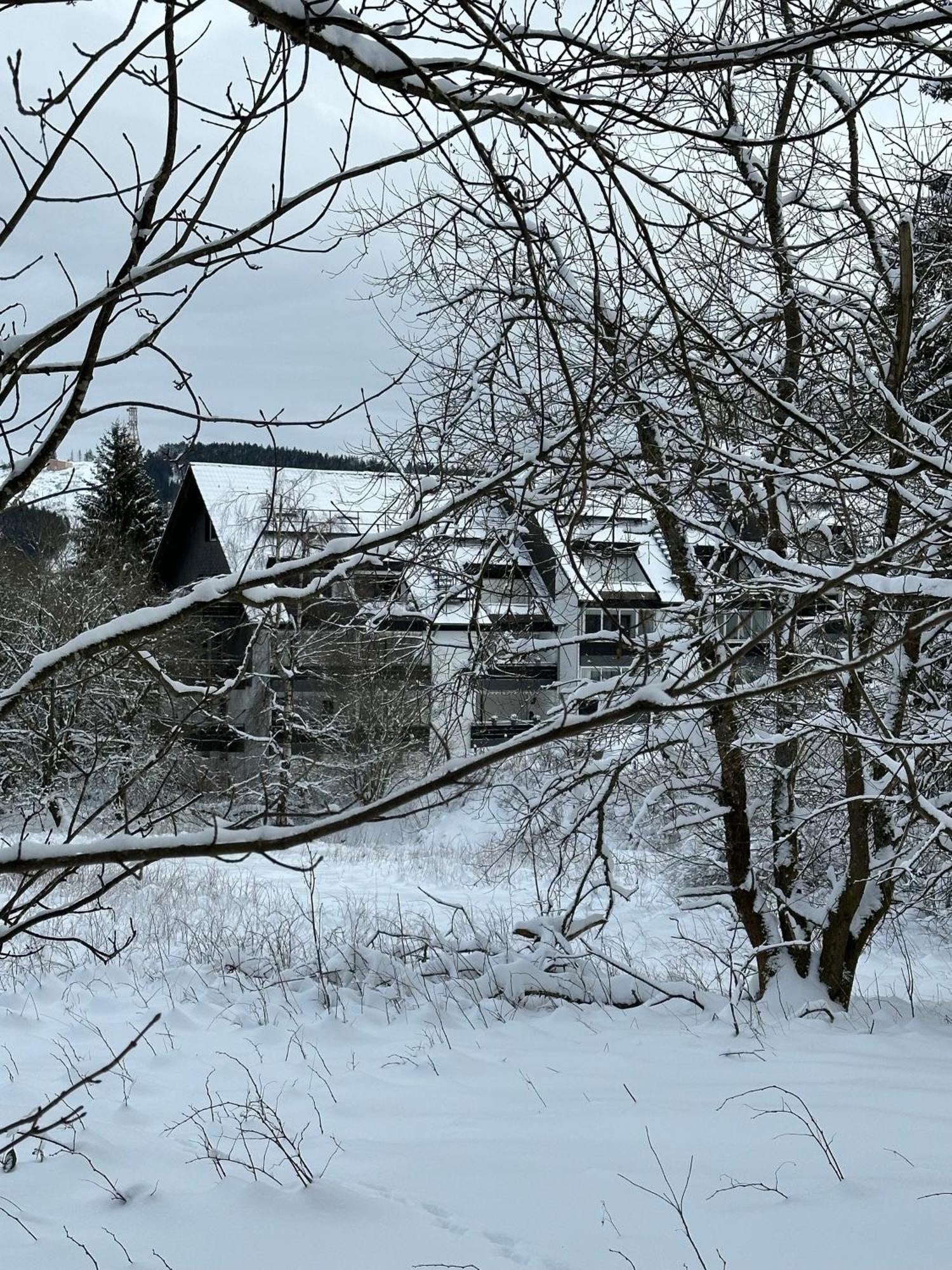 Ferienwohnung Waldgaenger Hahnenklee Goslar Extérieur photo